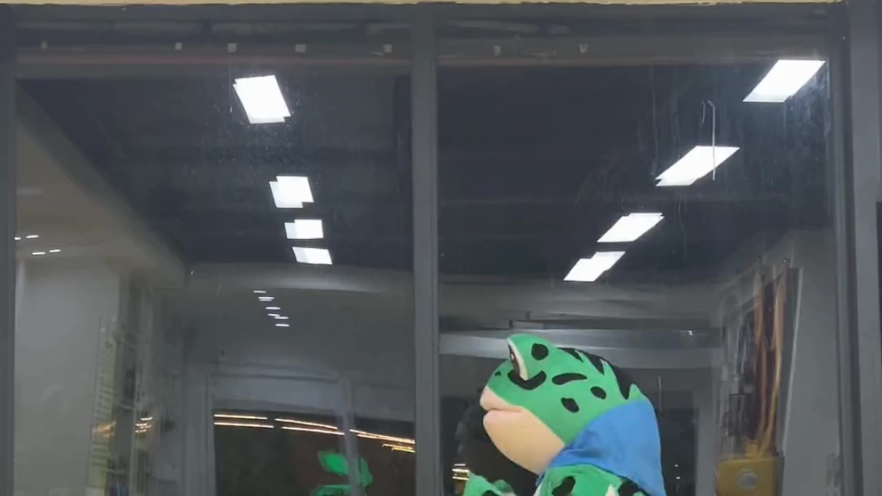 Kongfu frog2!