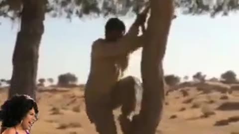 funy video