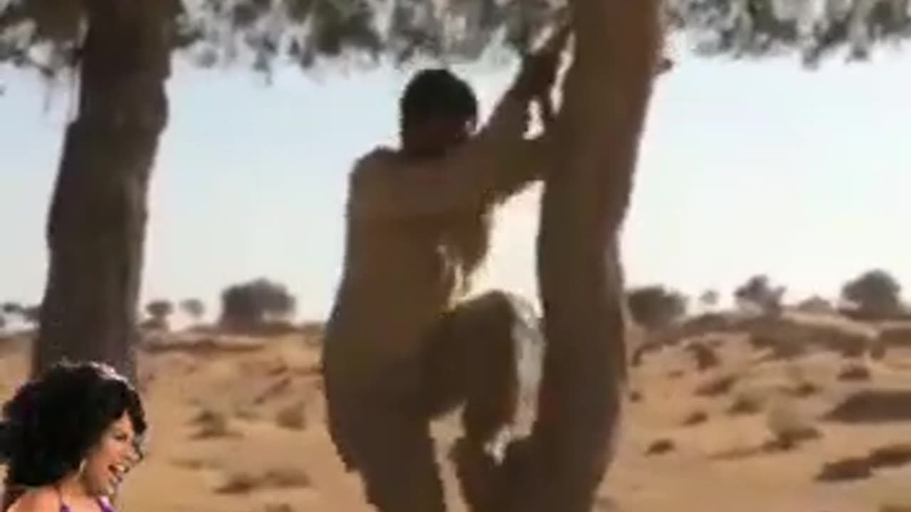 funy video