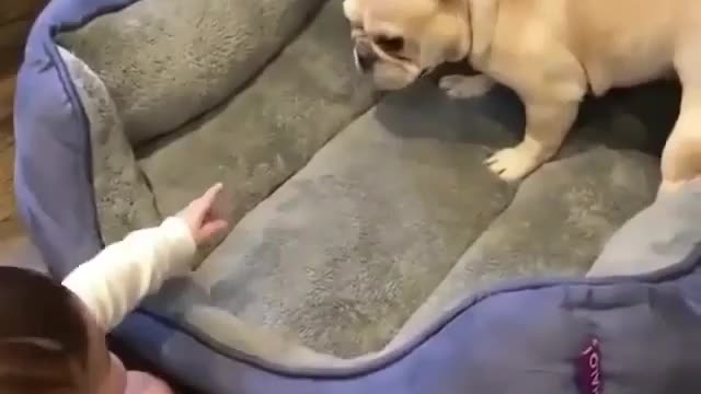 baby and dog🤣😂😅