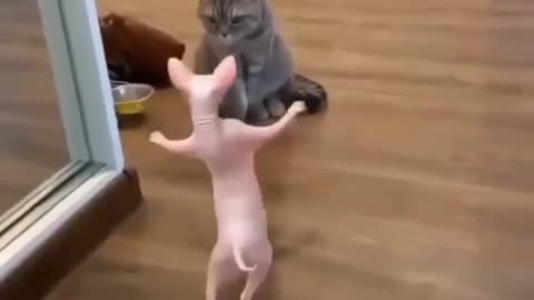 look at end reaction