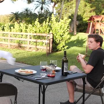 Real or Fake Service Dog?