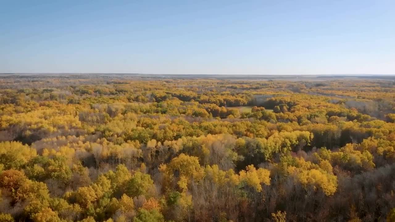 Enchanting Autumn Forests with Beautiful Piano Music