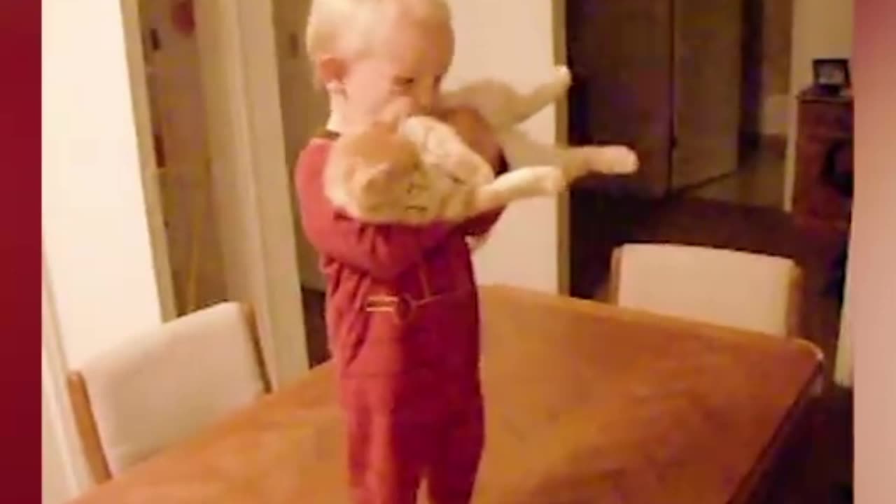 Cats & funny babies playing eachother