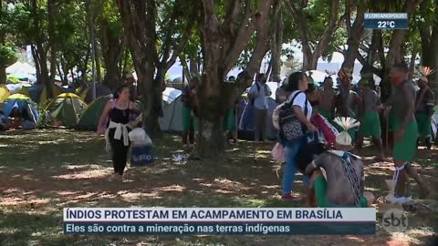 Índios montam acampamento para protestar em Brasília | SBT Brasil (04/04/22)