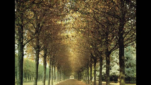 Brahms - Symphony No.4 + encore Celibidache Munchner