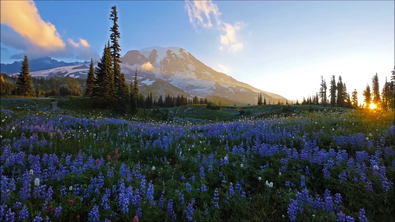 Morning in Cyrodiil (with accompanying Ambience) — Jeremy Soule's Sunrise of Flutes & Harvest Dawn