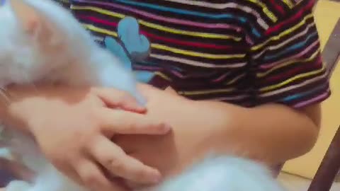 Cat Playing with Baby