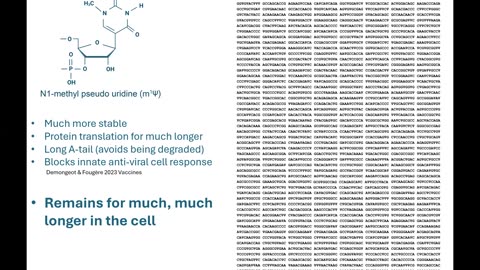 CANCER AND COVID VAXGENES: A TURBO-CHARGED RELATIONSHIP (D4CE | 2024-11-19)