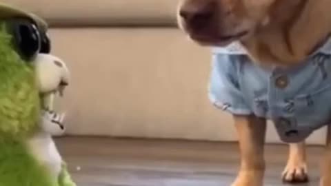 Noghty dog