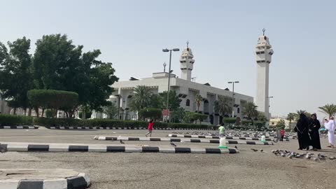 Birds and sparrows in Prince Square are a wonderful sight