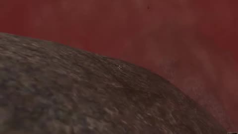 How to get the Heart Ring in Morrowind