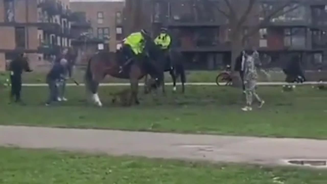 Pitbull attacks police horses in London’s Victoria Park