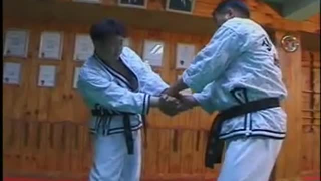 Hapkido