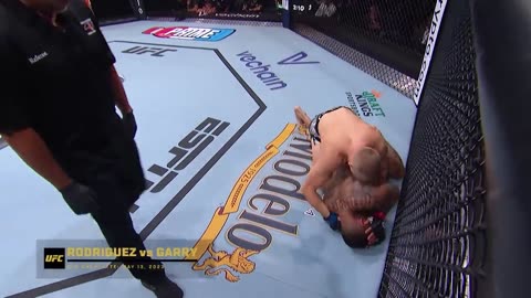 UFC - TOP FINISHES