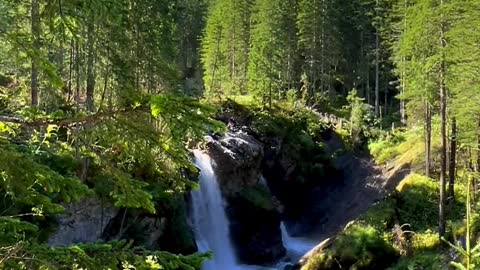 Into the wild… 📍LENK IM SIMMENTAL