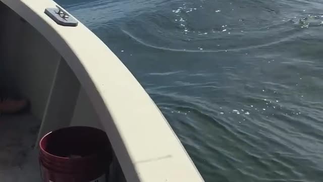 George & Andrew King Fishing Long Island Sound