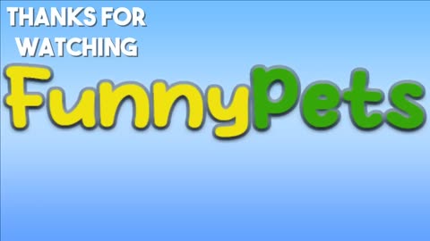 FUNNY PETS, FUNNY ANIMAL VIDEOS, CAT VIDEOS, ANIMAL VIDEOS, FUNNIEST VIDEOS