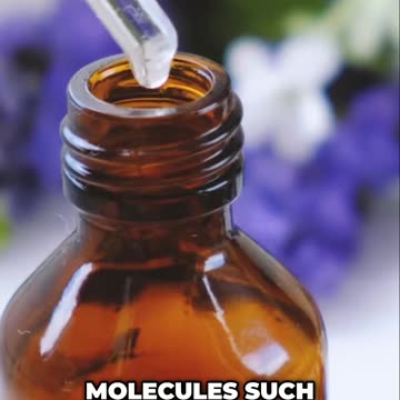 Herbs vs. Pharmaceuticals_ Nature's Secret to Healing!