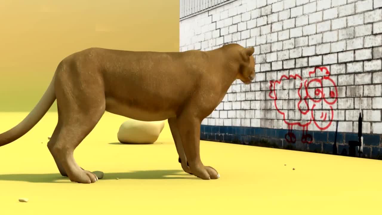Lioness anim Julien Segre