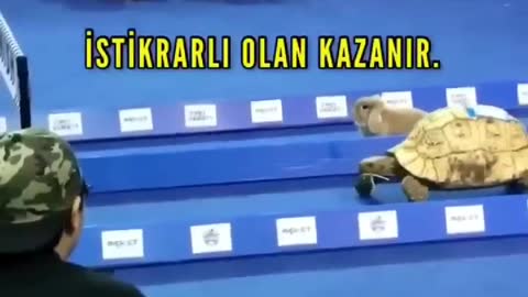 Durmadan devam ettiğin sürece, ne kadar yavaş gittiğinin bir önemi yoktur.