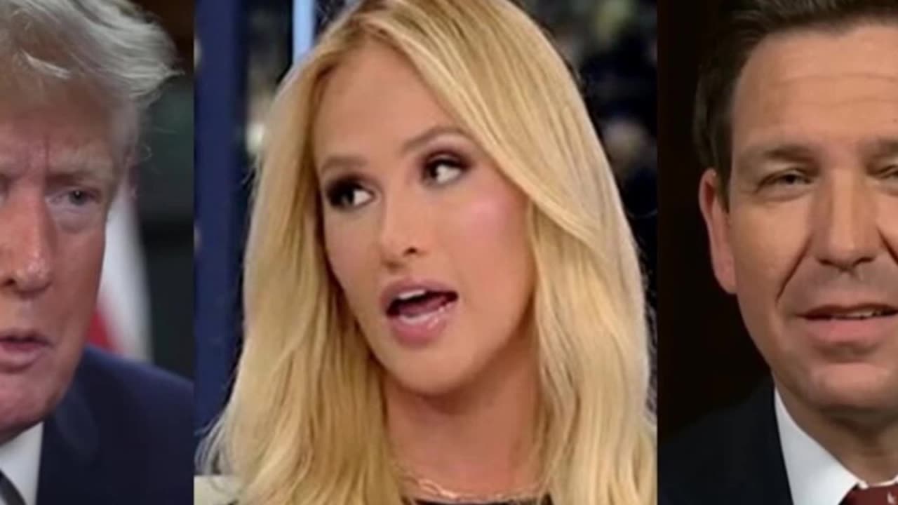 Fox News contributor Tomi Lahren tells Trump not to ‘fight’ Ron DeSantis: ‘We need him’