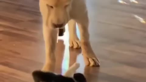 Big and small