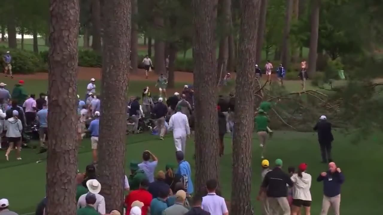 A large tree almost crushed a crowd of people during the master golf tournament