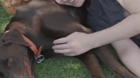 Dog training #shorts #dogtraining