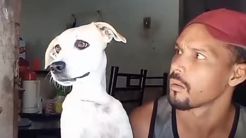 Dogs gossip more than people