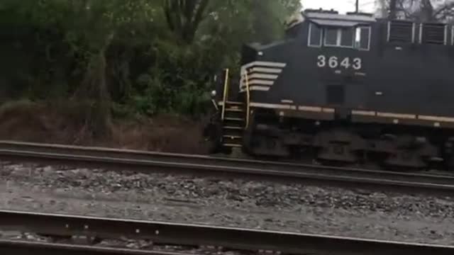 TikToks from https://www.tiktok.com/