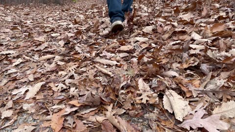 walking on leaves