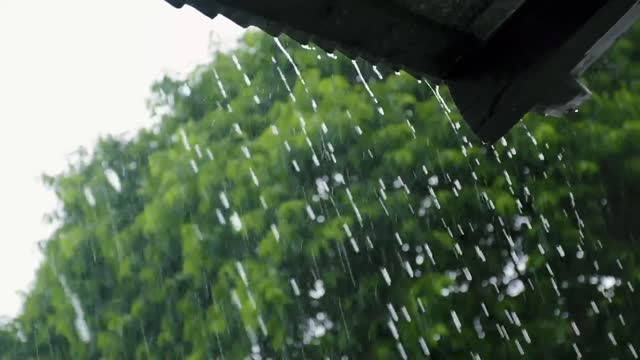 RAIN SOUND FOR RELAXING AND SLEEPING ( WHITE NOISE)