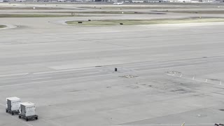 Runaway Luggage Rolls Across Airport Ramp