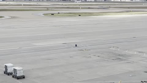 Runaway Luggage Rolls Across Airport Ramp