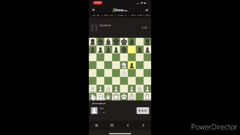 Horse video