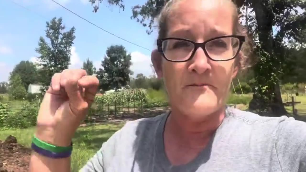 HOW TO PURCHASE YOUR OWN FARMLAND and why the Corporations keep buying it all up!