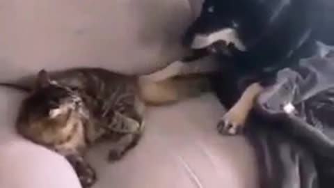 No, well, did you see?