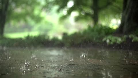 Rain Stock Footage videos