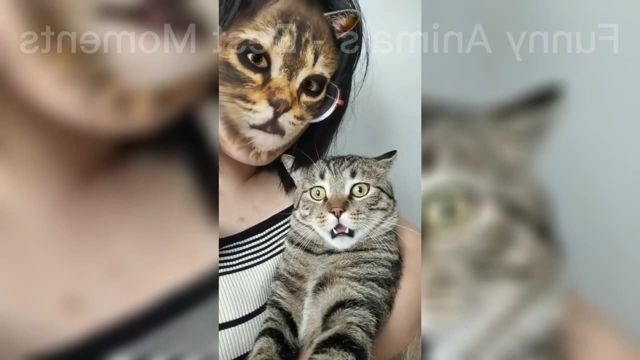 The amazing and crazy things are doing petanimals