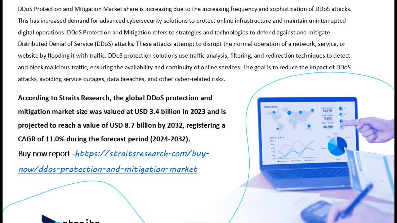 DDoS Protection and Mitigation Industry