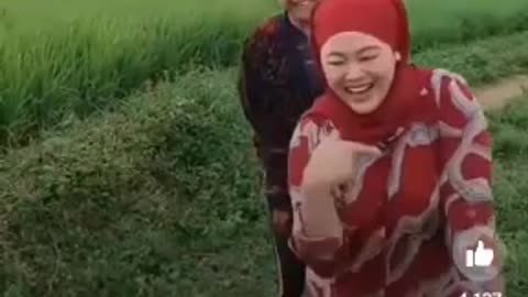 Dance in the sawah