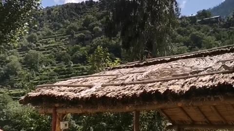 Village beauty || Northern areas of Pakistan || beauty of Nature || nature || KPK