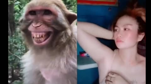 Funny animals prank fake 🦁😂😂😂