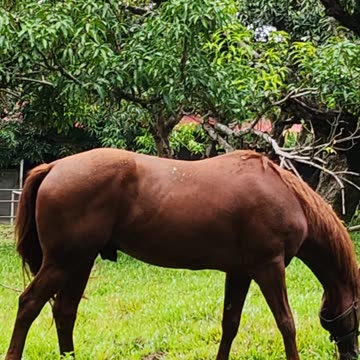 Vacation in Philippines
