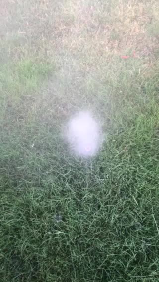 Irrigation blowouts September 24