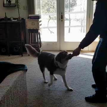 Forrest shaping the Out behavior