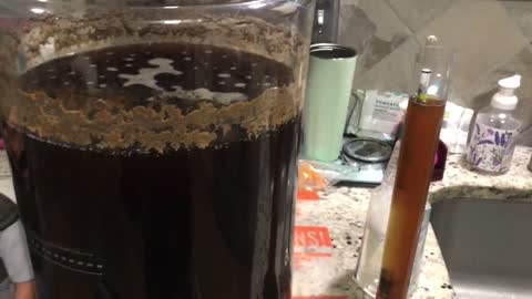KEGGING THE BROWN ALE!