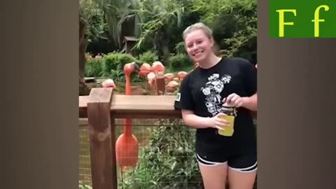 Funny Peoples Life😂 - Fails, Pranks and Amazing Stunts _ Juicy Life🍹