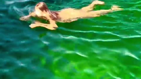 Bikini Girl's Seawater Marine Life Painting Session